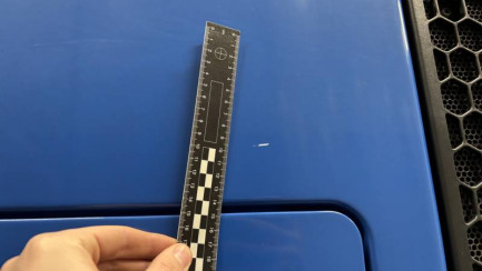 Zdjęcie przedmiotu: MAN TGX E6 18.0t LLS-U(XLX)