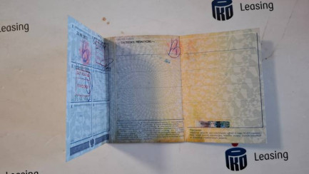 Zdjęcie przedmiotu: WIELTON NW-3 Dump Steel