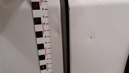 Zdjęcie przedmiotu: Fiat Ducato L3H2 Oświadczenie o utracie DR