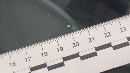 Zdjęcie przedmiotu: Skoda KODIAQ 2.0 TSI 4x4 Style DSG