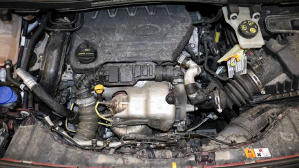 Zdjęcie przedmiotu: Ford Gr.Tourneo Connect 1.5 TDCi Titanium E6.2 2.3t Заява про втрату реєстраційного свідоцтва