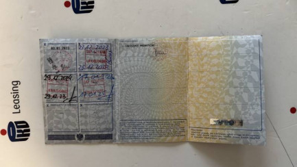 Zdjęcie przedmiotu: WIELTON NS3K Dropside