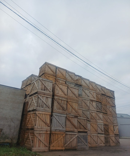 Zdjęcie przedmiotu: 5,500 wooden pallet boxes made of pine, with dimensions of 1600x1200x1240