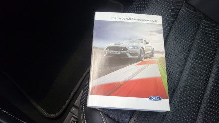 Zdjęcie przedmiotu: Ford Mustang 5.0 V8 Mach 1