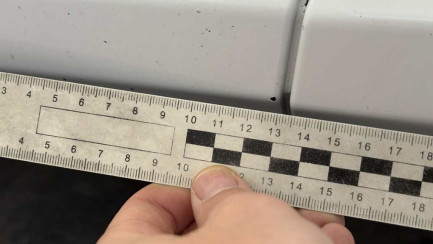 Zdjęcie przedmiotu: Ford F-MAX 12.7 TDCi 500 E6d 18.0t