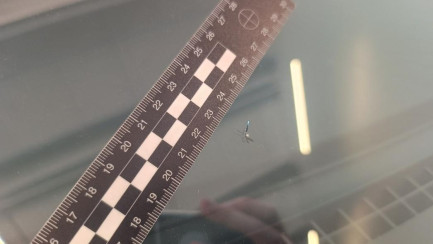 Zdjęcie przedmiotu: Ford Transit Custom 320 2.0 TDCi E6.2 3.3t L2 Trend