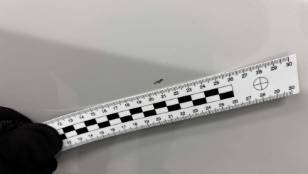 Zdjęcie przedmiotu: Opel Movano Heavy 2.2 Diesel L2H2 E6.4 3.5t 