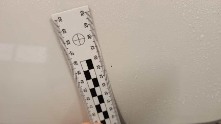 Zdjęcie przedmiotu: Fiat Ducato 33 2.2 M-jet L3H2 E6.4 3.3t Заява про втрату реєстраційного свідоцтва