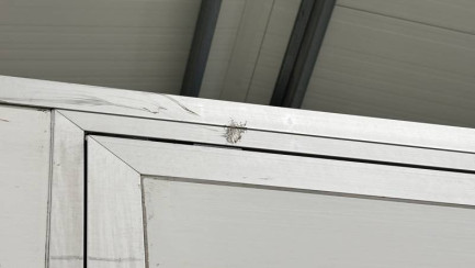 Zdjęcie przedmiotu: Iveco DAILY E5 3.5t Hi-Matic