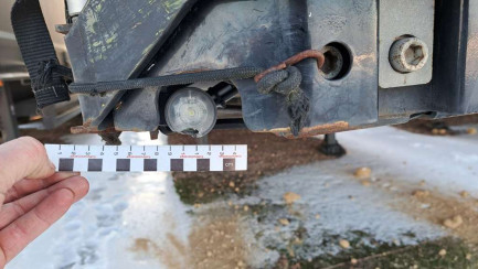 Zdjęcie przedmiotu: KASSBOHRER MEGA 39.0t XS Skrzyniowa