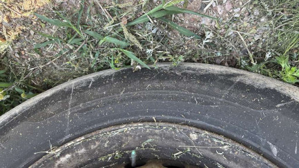 Zdjęcie przedmiotu: FLIEGL SDS