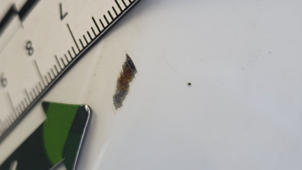Zdjęcie przedmiotu: Volvo XC90 B5 D AWD R-Design aut Oświadczenie o utracie DR