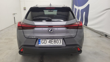 Zdjęcie przedmiotu: Lexus UX 250h GPF Business Edition 2