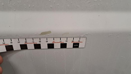 Zdjęcie przedmiotu: Fiat Ducato L3H2 Oświadczenie o utracie DR