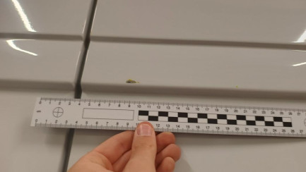 Zdjęcie przedmiotu: Fiat Ducato MAXI HD 2.2 H3-POWER E6.4 3.5t L4H3