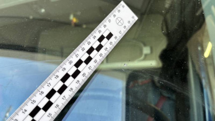 Zdjęcie przedmiotu: Renault T 460 T4x2 Night & Day