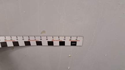 Zdjęcie przedmiotu: Fiat Ducato L3H2 Oświadczenie o utracie DR