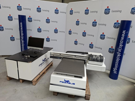 Zdjęcie przedmiotu: PEGASUS AXIS 5TH PE3 6090 UV printer