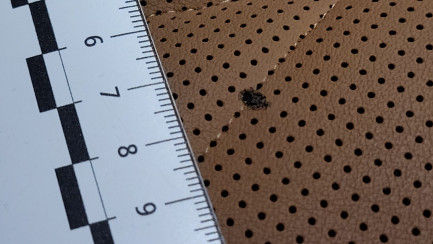 Zdjęcie przedmiotu: BMW X6 xDrive30d mHEV sport-aut