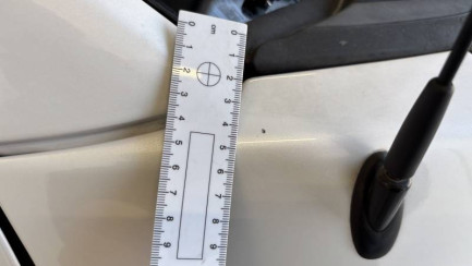 Zdjęcie przedmiotu: Ford F150 3.1t LARIAT