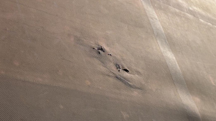 Zdjęcie przedmiotu: SCHMITZ SCBS3T 35.0t Високобортовий Oświadczenie o utracie DR