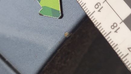 Zdjęcie przedmiotu: Ford Focus 1.5 EcoBlue Connected