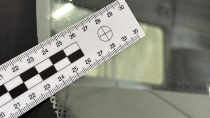 Zdjęcie przedmiotu: DAF LF 230 E6 19.0t