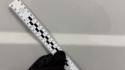 Zdjęcie przedmiotu: Opel Movano Heavy 2.2 Diesel L2H2 E6.4 3.5t 